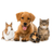 Pet Services